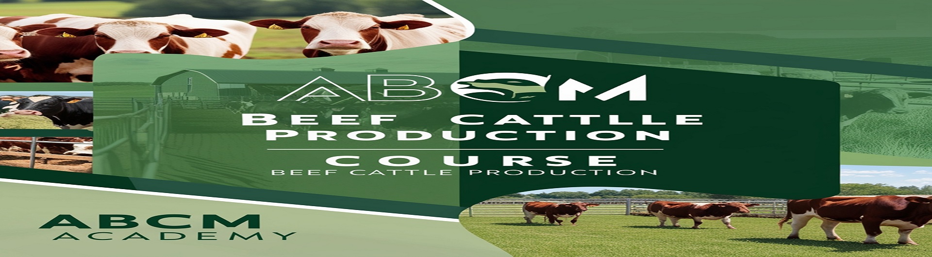 Beef Cattle Production course